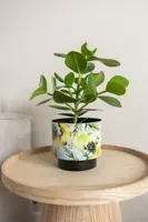 Ter Steege bloempot Camelia Aquarel 20x19 cm - afbeelding 4