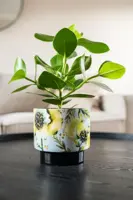 Ter Steege bloempot Camelia Aquarel 22x20 cm - afbeelding 5