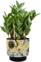 Ter Steege bloempot Camelia Aquarel 22x20 cm - afbeelding 2