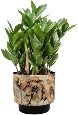 Ter Steege bloempot Camelia Charm 22x20 cm - afbeelding 2