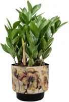 Ter Steege bloempot Camelia Charm 22x20 cm - afbeelding 2