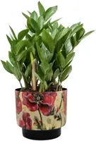 Ter Steege bloempot Camelia Poppy 20x19 cm - afbeelding 2