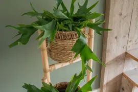 Ter Steege Pottenset van 3 | 34x30 cm | Jette Naturel - afbeelding 3