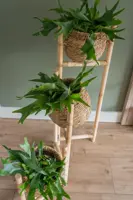 Ter Steege Pottenset van 3 | 34x30 cm | Jette Naturel - afbeelding 2