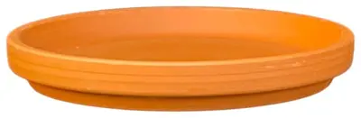 Terraliet schotel 10x2cm terracotta - afbeelding 2