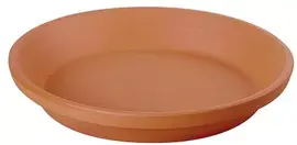 Terraliet schotel 18x3.5cm terracotta - afbeelding 1