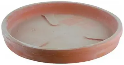 Terraliet schotel 25x4cm terracotta - afbeelding 1