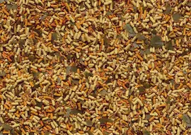 Tetra Pond Goldfish Mix, 1 liter - afbeelding 3