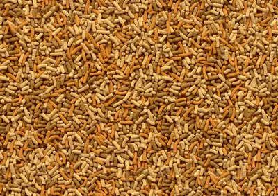 Tetra Pond Variety Sticks, 1 liter - afbeelding 5