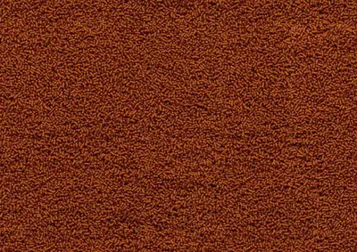 Tetra Sterlet Sticks 1 liter – Zinkend Vijvervisvoer voor STerletten en Steuren - afbeelding 3