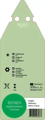 Thymus Serpyllum/Praecox Coccineus (Kruiptijm) - afbeelding 2