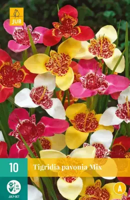 Tigridia pavonia mix 10 stuks - afbeelding 1