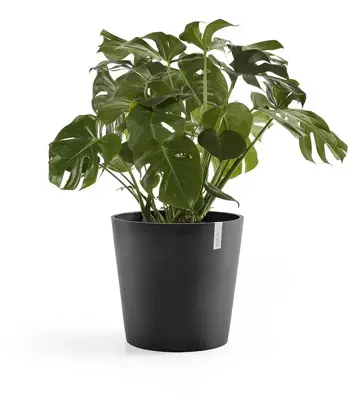 TPC ECOPOTS bloempot Amsterdam Ø50cm Donkergrijs - afbeelding 2