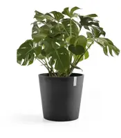 TPC ECOPOTS bloempot Amsterdam Ø50cm Donkergrijs - afbeelding 2
