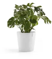 TPC ECOPOTS bloempot Amsterdam Ø50cm Puurwit - afbeelding 2