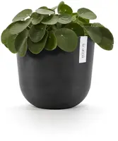 TPC ECOPOTS  bloempot Oslo Ø25cm Donkergrijs - afbeelding 2