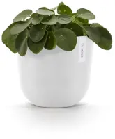 TPC ECOPOTS bloempot Oslo Ø25cm Puurwit - afbeelding 2