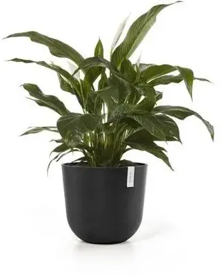 TPC ECOPOTS bloempot Oslo Ø45cm Donkergrijs - afbeelding 2