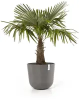 TPC ECOPOTS bloempot Oslo Ø55cm Taupe - afbeelding 2