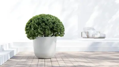 TPC ECOPOTS bloempot Oslo Ø65cm Puurwit - afbeelding 4