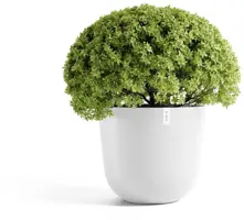 TPC ECOPOTS bloempot Oslo Ø65cm Puurwit - afbeelding 2