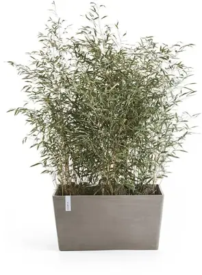 TPC ECOPOTS Plantenbak Paris 80x25x40cm Taupe - afbeelding 2