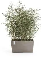 TPC ECOPOTS Plantenbak Paris 80x25x40cm Taupe - afbeelding 2