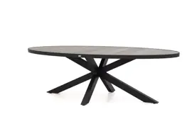 Trestino dining tuintafel amiens 241x116x74cm antraciet