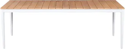 Trestino dining tuintafel moleto teak 220x100x75cm wit