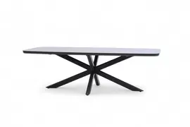 Trestino dining tuintafel valence 240x110x74cm antraciet
