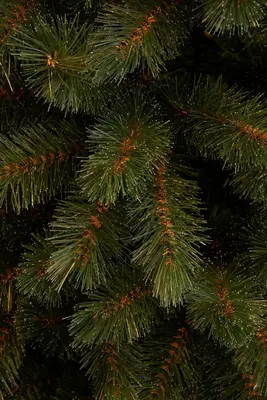 Triumph Tree Bristlecone Pilar grote kunstkerstboom groen 260cm - afbeelding 3