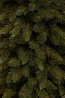 Triumph Tree Bristlecone Pilar kunstkerstboom groen 215cm - afbeelding 2