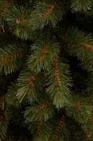 Triumph Tree Bristlecone Pilar kunstkerstboom groen 215cm - afbeelding 3
