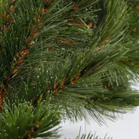 Triumph Tree Forest frosted guirlande groen 270cm - afbeelding 2