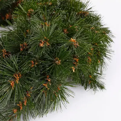 Triumph Tree Forest frosted kerstkrans groen Ø 60cm - afbeelding 2