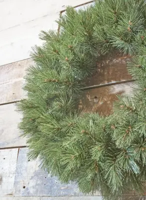 Triumph Tree Forest frosted kerstkrans groen Ø 90cm - afbeelding 4