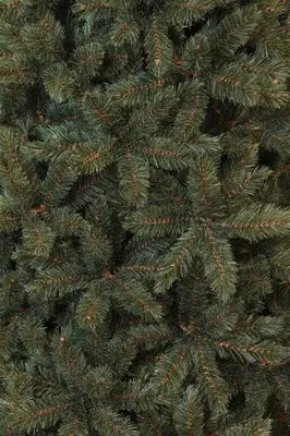 Triumph Tree Forest frosted kunstkerstboom blauwgroen 185cm - afbeelding 2