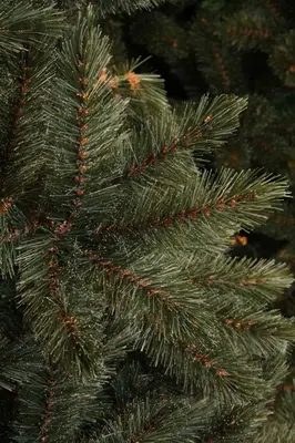 Triumph Tree Forest frosted kunstkerstboom blauwgroen 185cm - afbeelding 3