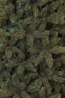 Triumph Tree Forest frosted kunstkerstboom blauwgroen 185cm - afbeelding 3