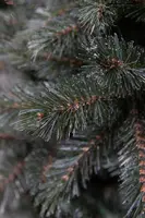 Triumph Tree Forest frosted kunstkerstboom blauwgroen 215cm - afbeelding 4