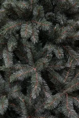 Triumph Tree Forest frosted kunstkerstboom blauwgroen 215cm - afbeelding 5