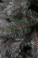 Triumph Tree Forest Frosted mini kunstkerstboom - afbeelding 2