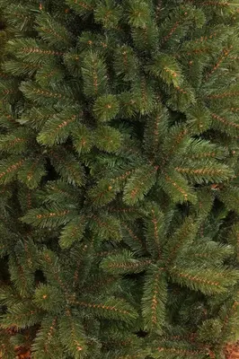 Triumph Tree Forest frosted pine grote kunstkerstboom groen 260cm - afbeelding 2