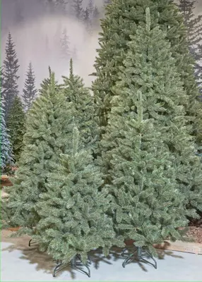 Triumph Tree Forest frosted pine grote kunstkerstboom groen 260cm - afbeelding 3