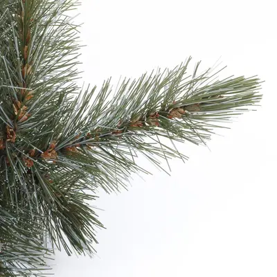 Triumph Tree Forest frosted pine guirlande blauwgroen 180cm - afbeelding 4