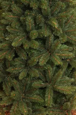 Triumph Tree Forest frosted pine slim kunstkerstboom groen 120cm - afbeelding 2