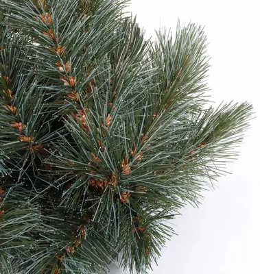 Triumph Tree Forest frosted pine verlichte kerstkrans groen Ø 200cm - 288 lampjes - afbeelding 2
