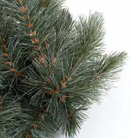 Triumph Tree Forest frosted pine verlichte kerstkrans groen Ø 200cm - 288 lampjes - afbeelding 2
