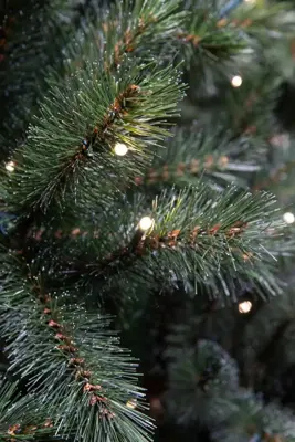 Triumph Tree Forest frosted slim grote verlichte kunstkerstboom groen 260cm - 360 lampjes - afbeelding 2