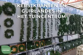 Triumph Tree Forest frosted slinger groen 180cm - afbeelding 8